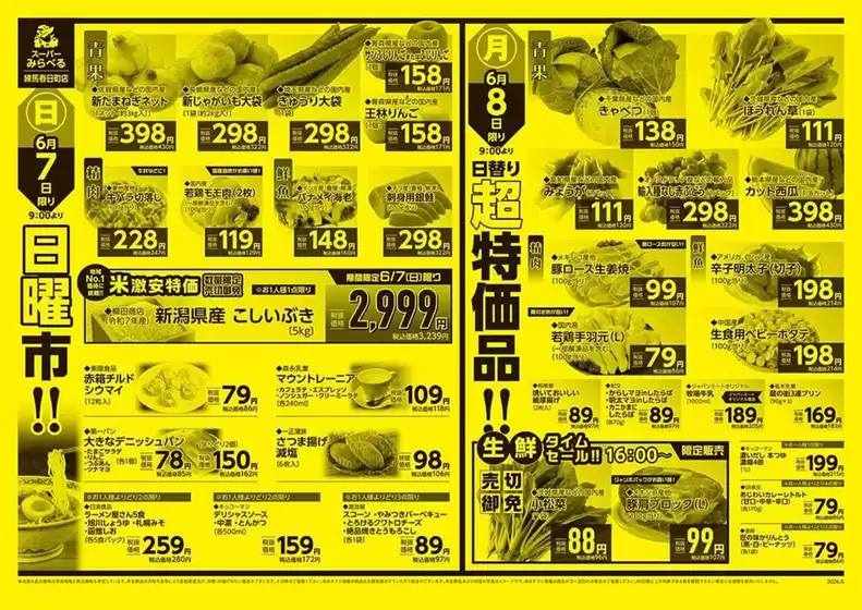 main_flyer image