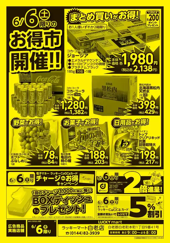 main_flyer image