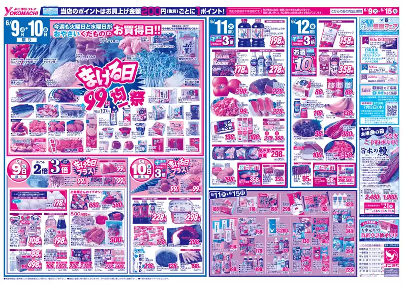 main_flyer image