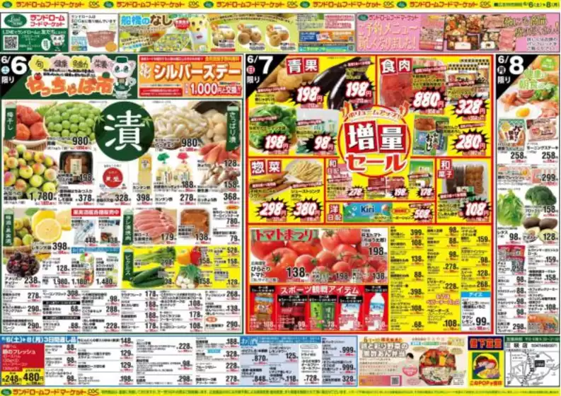 main_flyer image