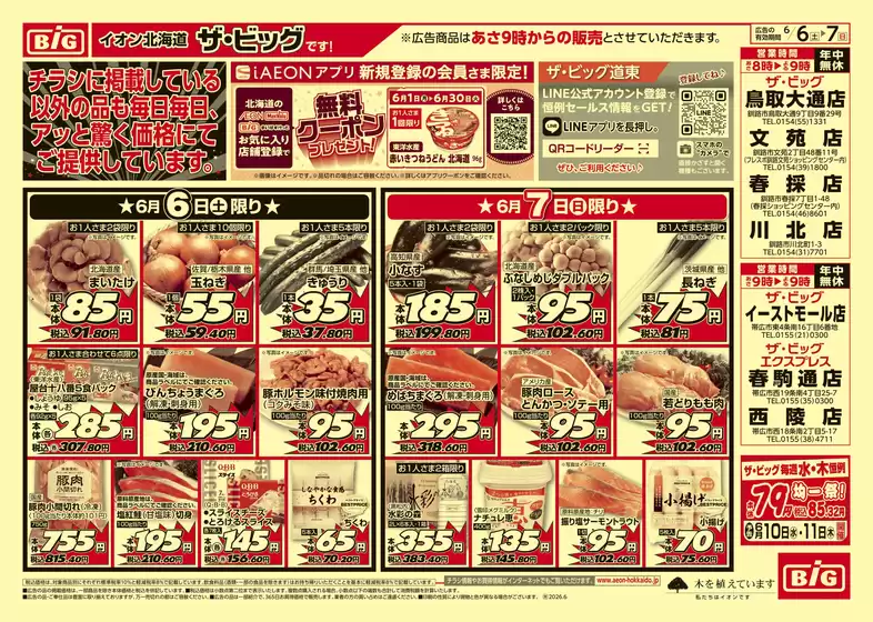 ザ・ビッグのカタログ | 排他的な取引と掘り出し物 | 2026-06-05T00:00:00.000Z - 2026-06-09T00:00:00.000Z