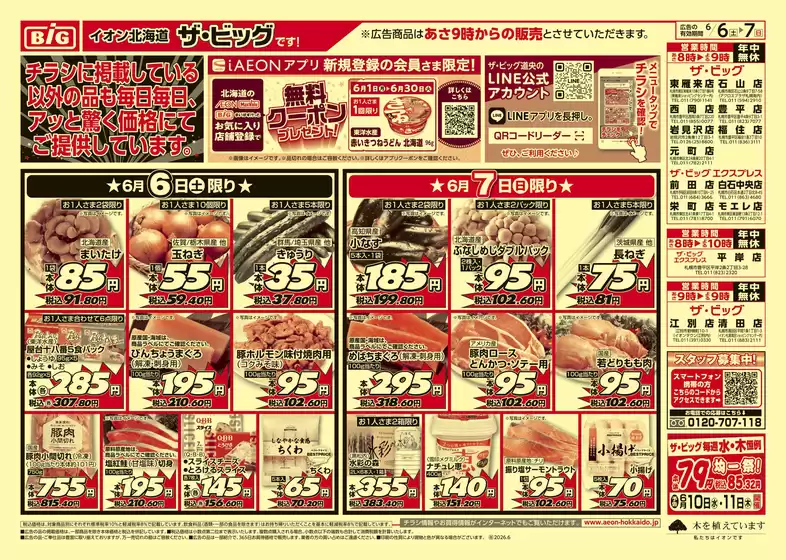 ザ・ビッグのカタログ | ザ・ビッグ チラシ | 2026-06-05T00:00:00.000Z - 2026-06-09T00:00:00.000Z
