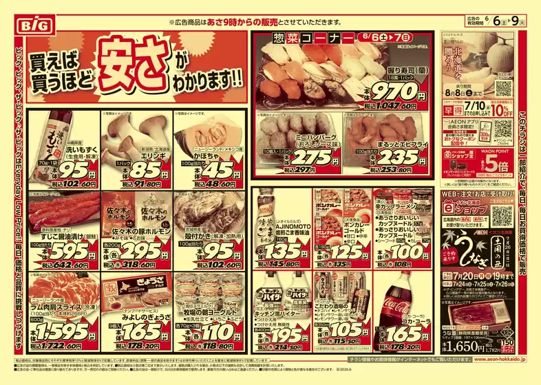 main_flyer image