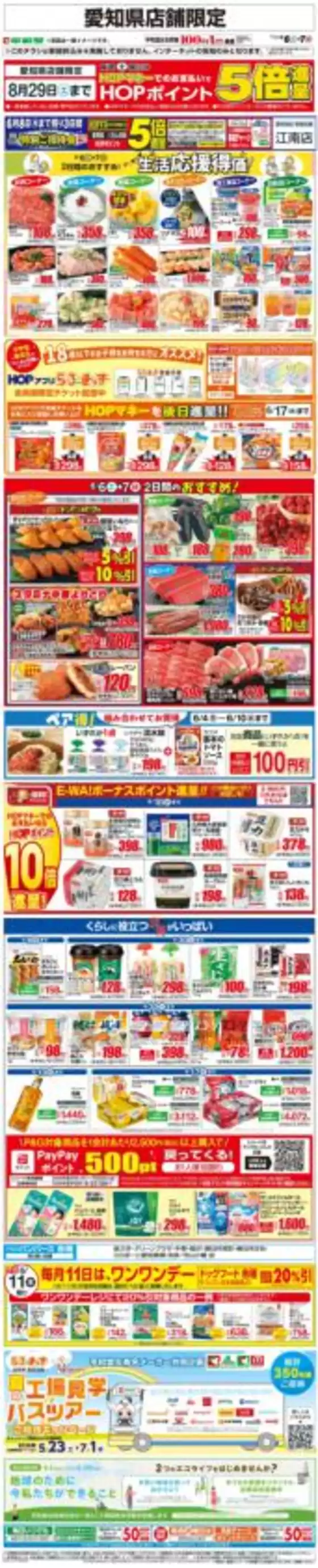 main_flyer image