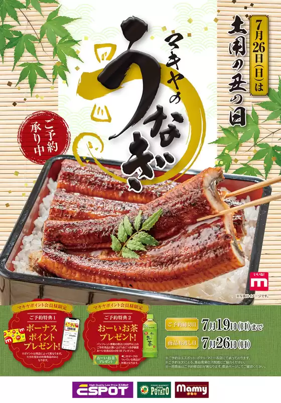 main_flyer image