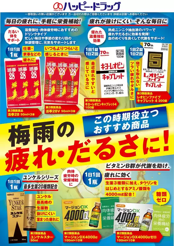main_flyer image
