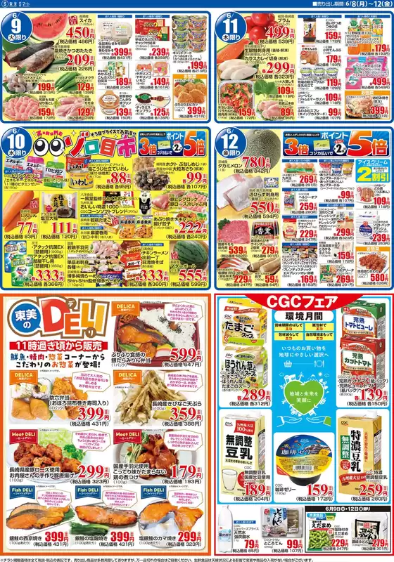 main_flyer image