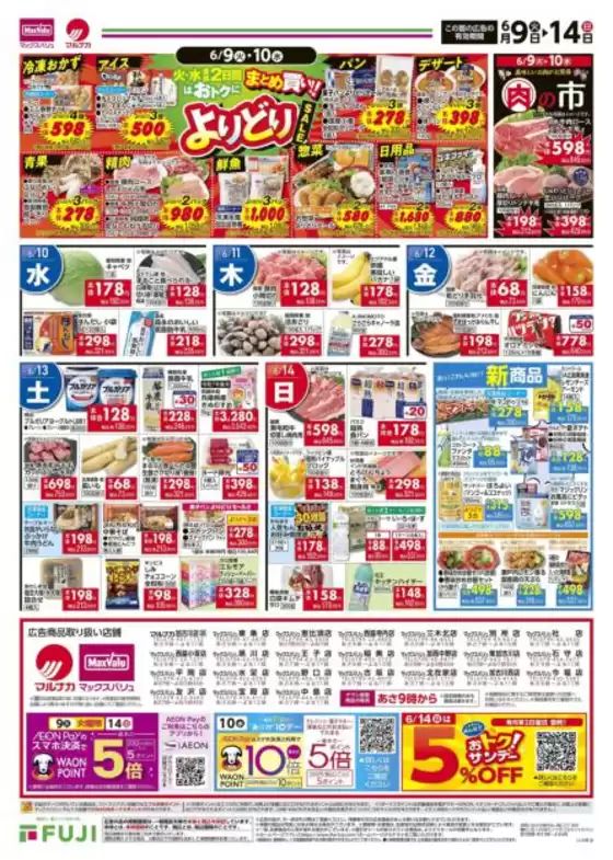 main_flyer image