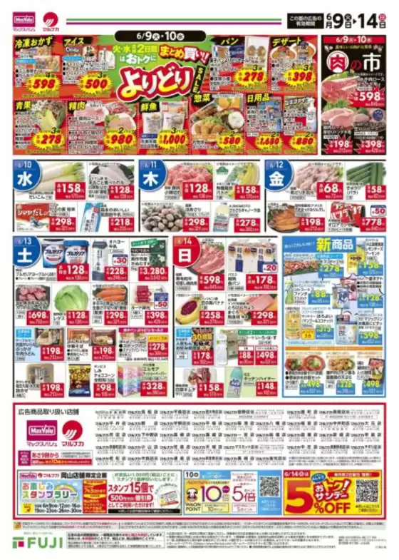 main_flyer image