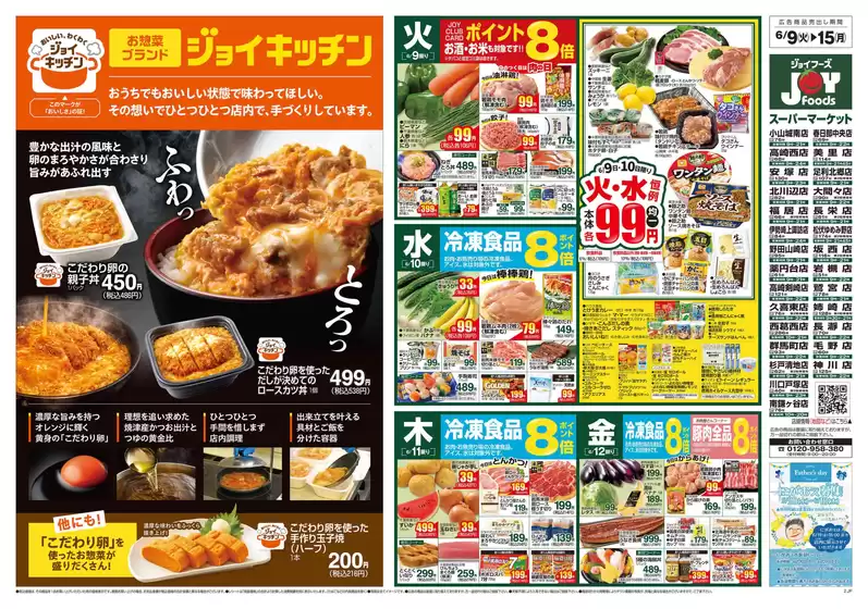 main_flyer image