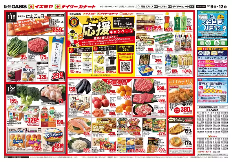 main_flyer image
