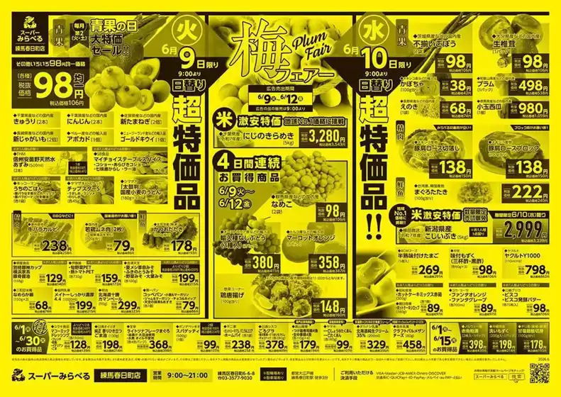 main_flyer image