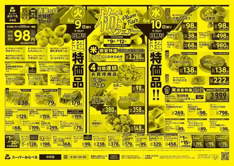 main_flyer image