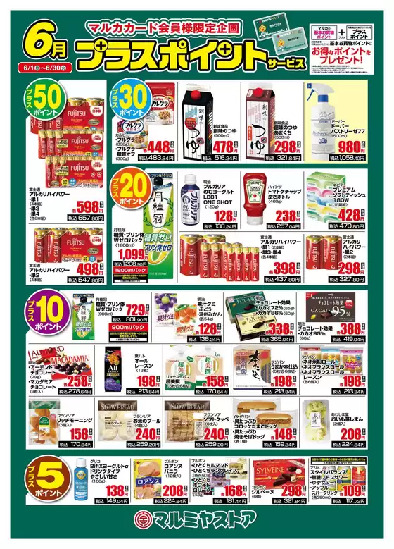 main_flyer image