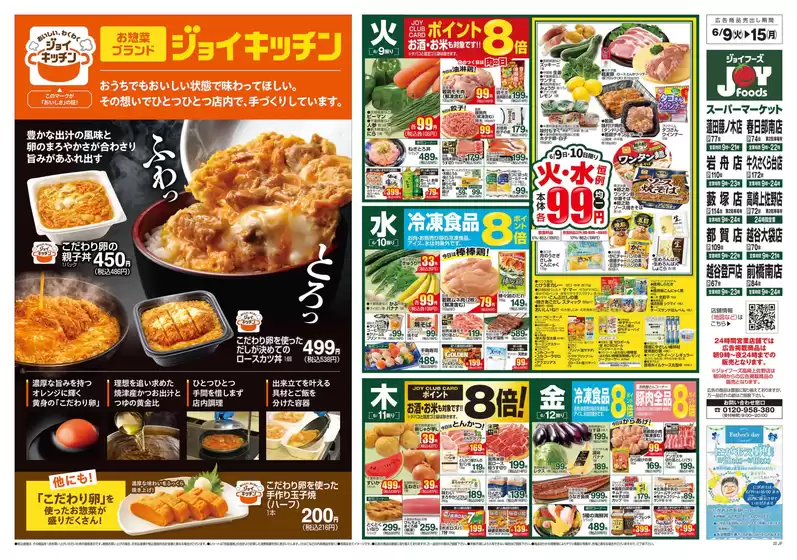 main_flyer image