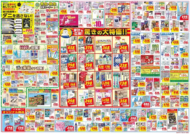 main_flyer image