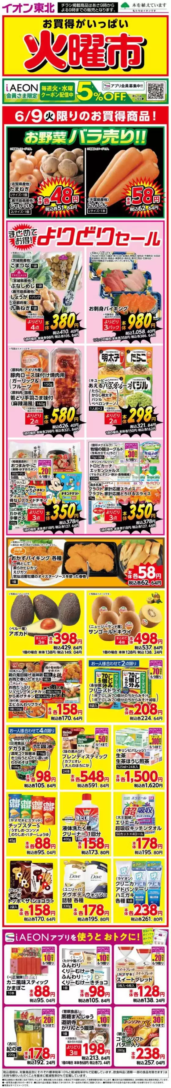 main_flyer image