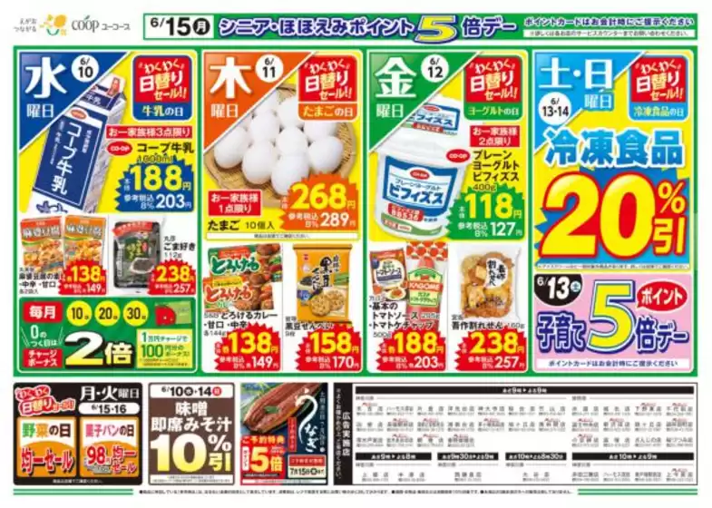 main_flyer image