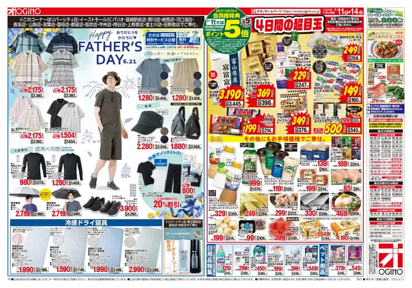 main_flyer image