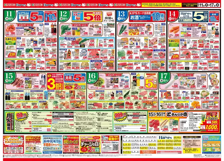 main_flyer image