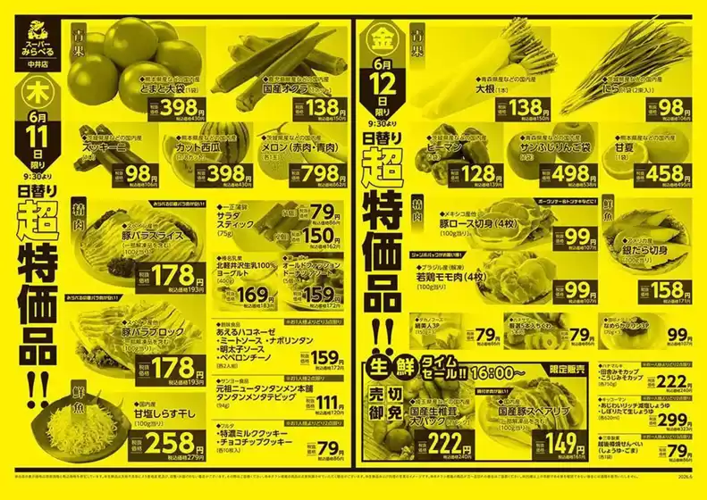 main_flyer image