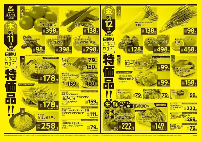 main_flyer image