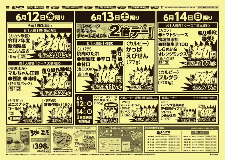 main_flyer image