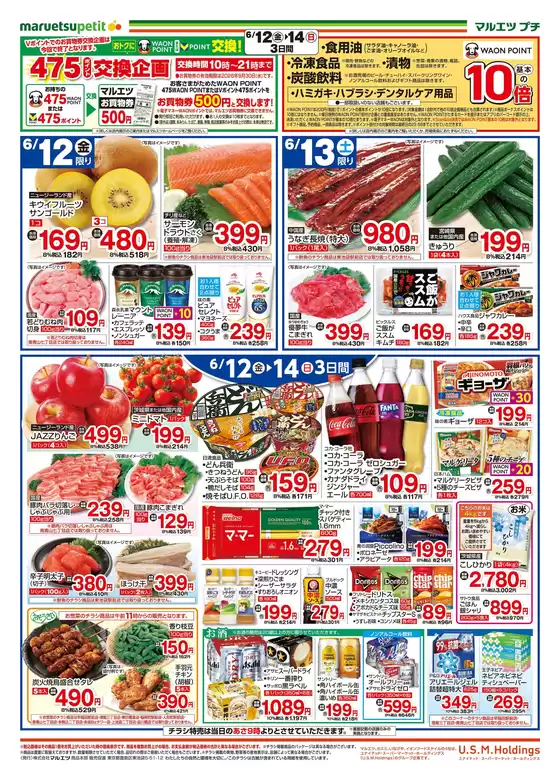 main_flyer image