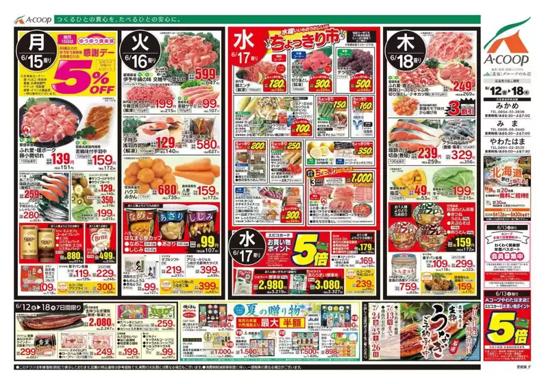 main_flyer image