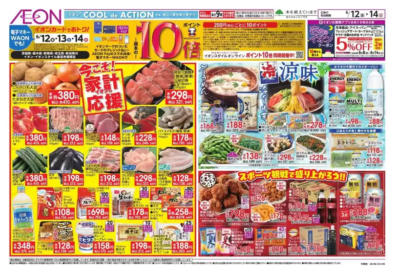 main_flyer image
