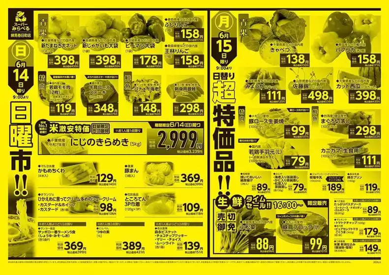 main_flyer image