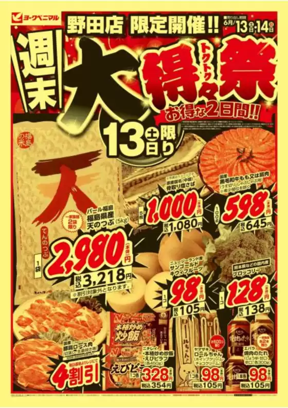 main_flyer image