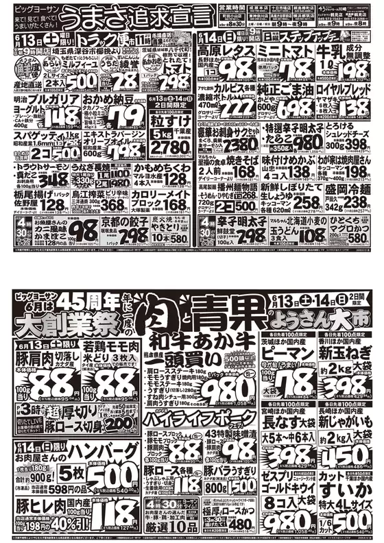 ビッグヨーサンのカタログ | 現在の特別プロモーション | 2026-06-13T00:00:00.000Z - 2026-06-14T00:00:00.000Z