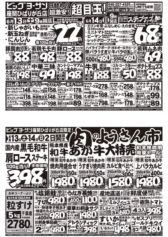 ビッグヨーサンのカタログ | すべてのお客様のためのトップディール | 2026-06-13T00:00:00.000Z - 2026-06-14T00:00:00.000Z