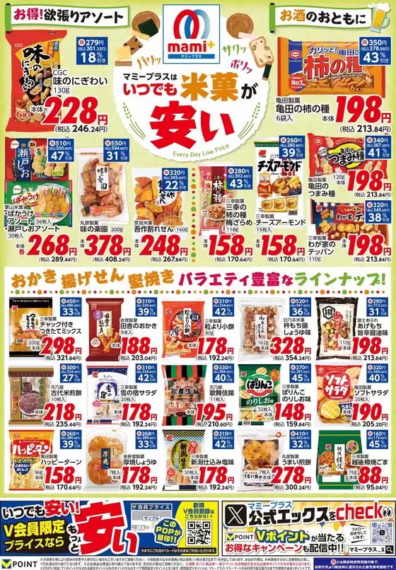 main_flyer image