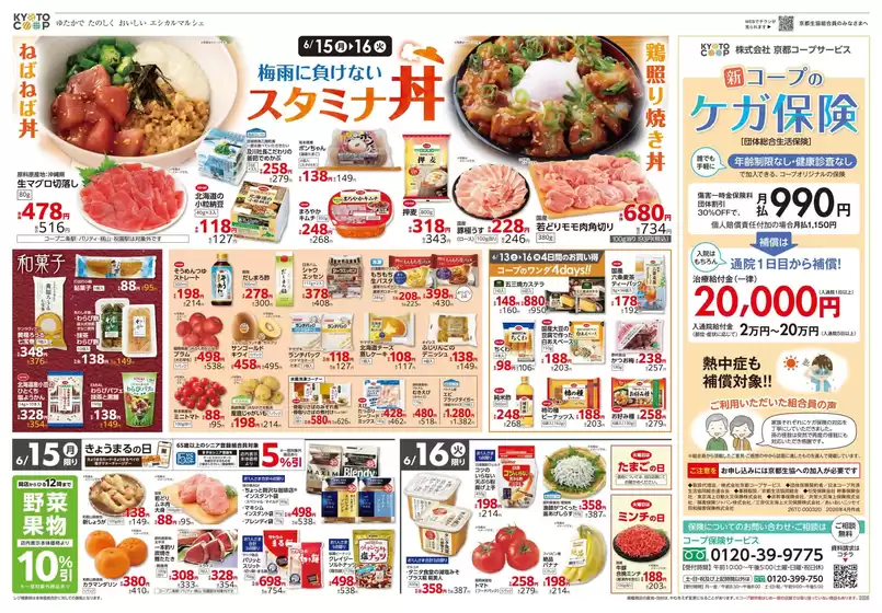 main_flyer image