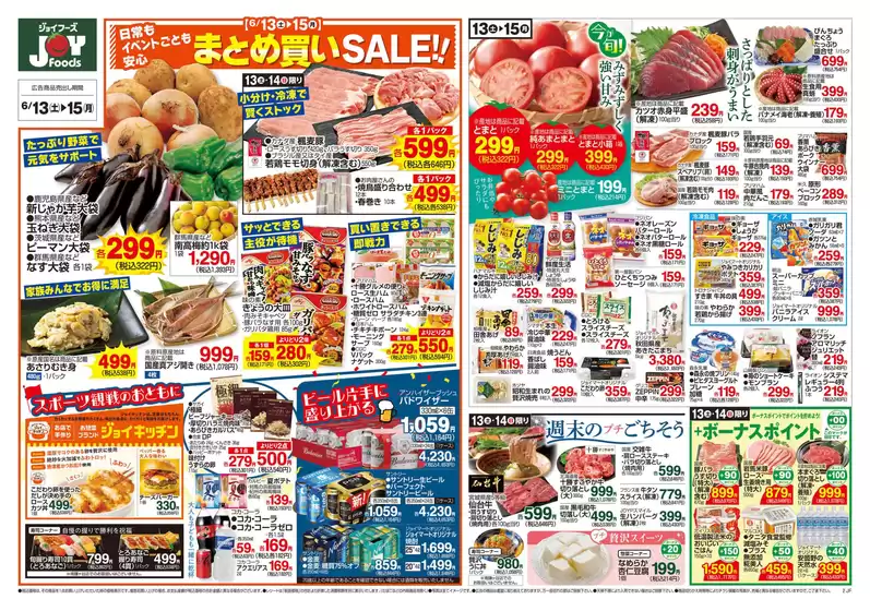 main_flyer image