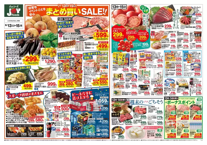 main_flyer image