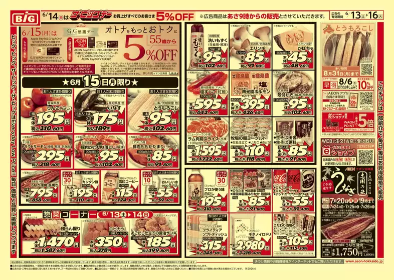 main_flyer image