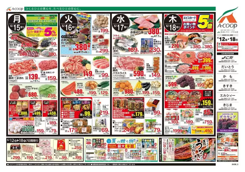 main_flyer image