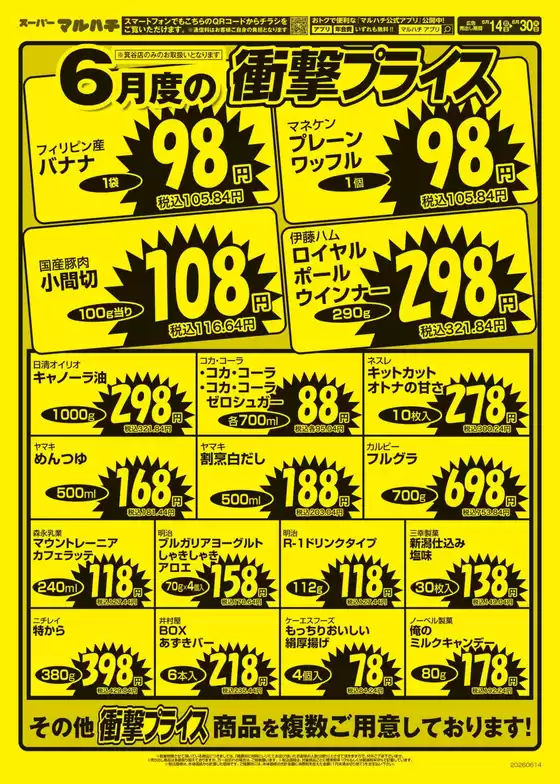 main_flyer image