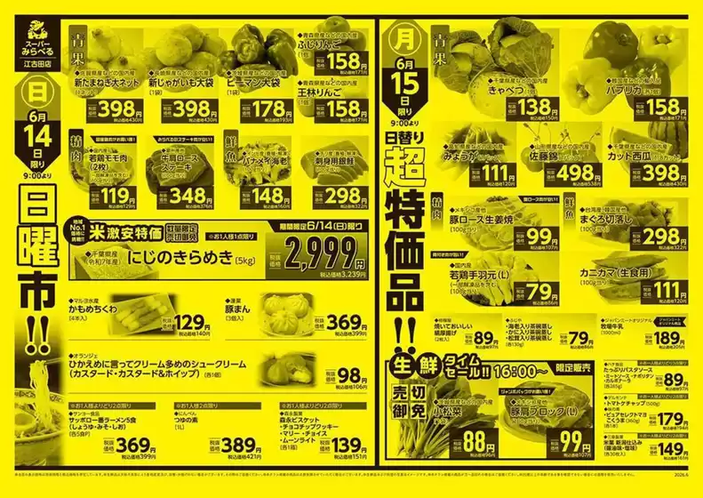 main_flyer image