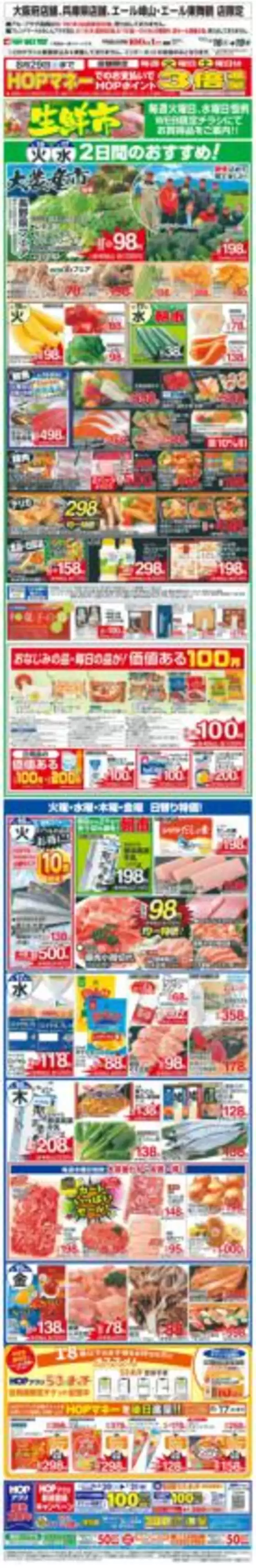 main_flyer image