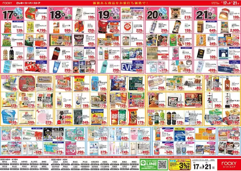 main_flyer image