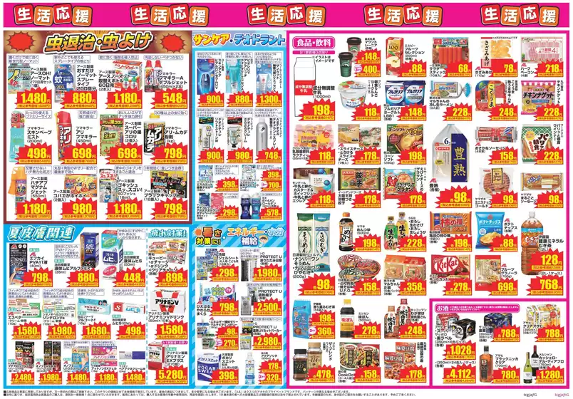 main_flyer image