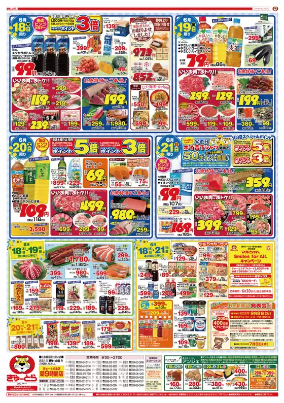main_flyer image