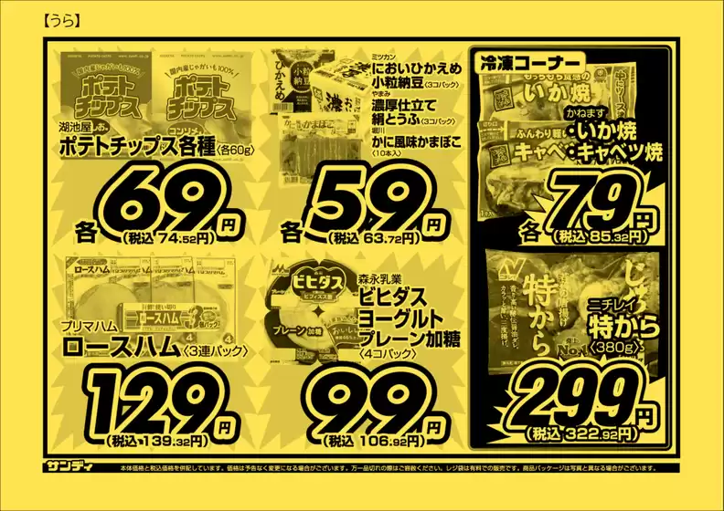 main_flyer image