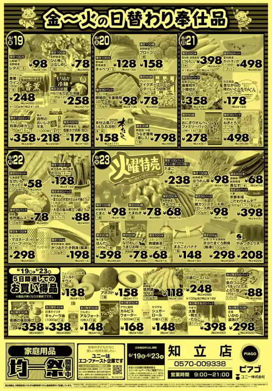 main_flyer image