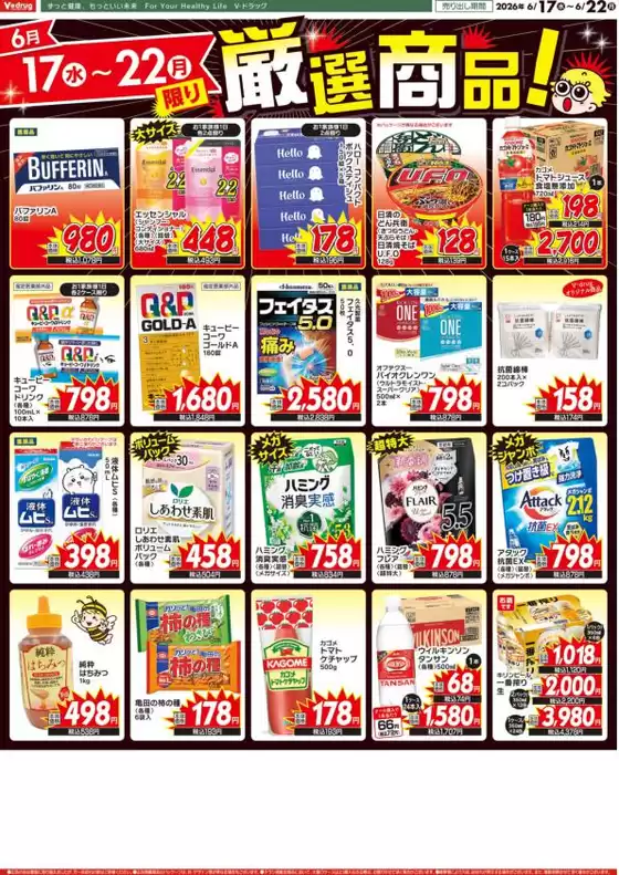 main_flyer image