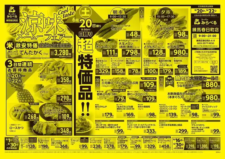 main_flyer image